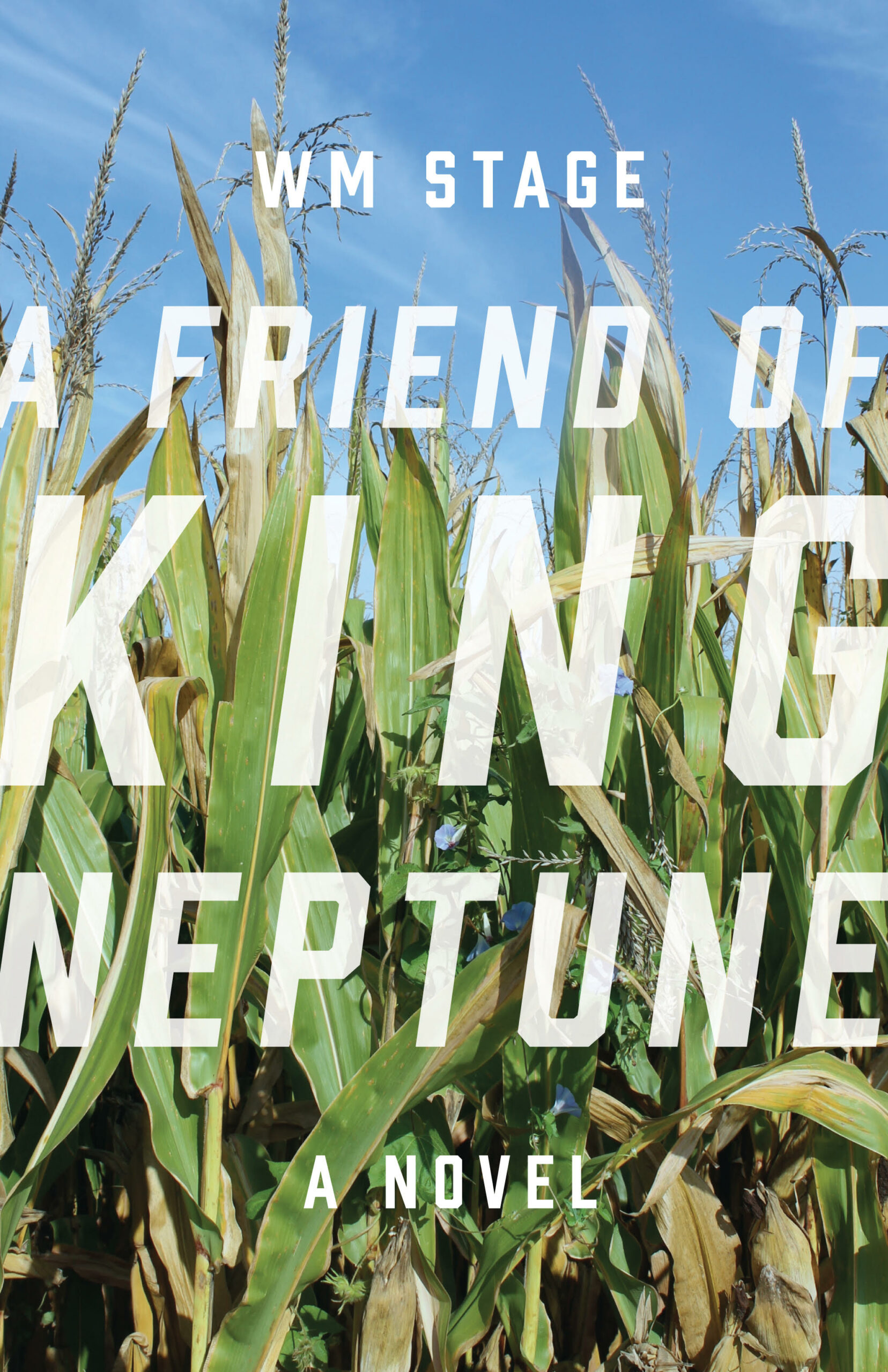 A Friend Of King Neptune